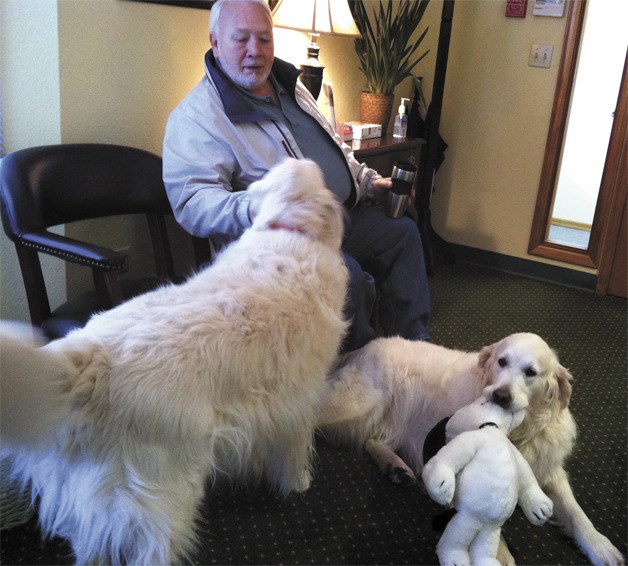 Therapy dogs Oliver and Stanley greet visitors April 23 at Geriatric Dental Group in Federal Way. To learn more