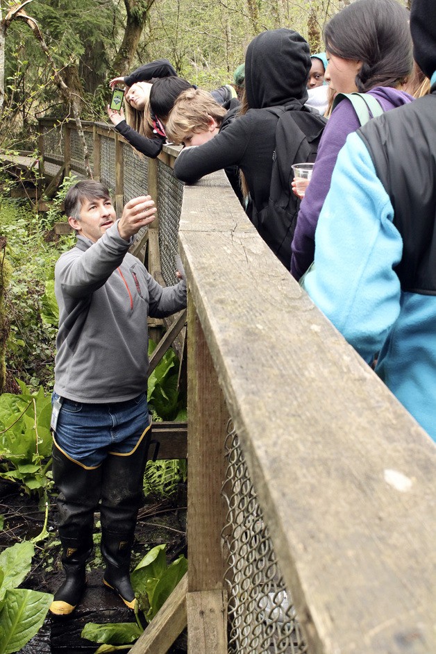 More than 300 students from 13 schools in Federal Way participated in an educational workshop on April 12 that included the release of salmon hatchlings into the Hylebos Creek.