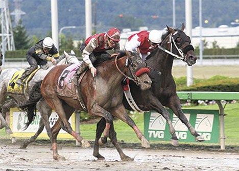 The Longacres Mile returns to Emerald Downs on Aug. 16.