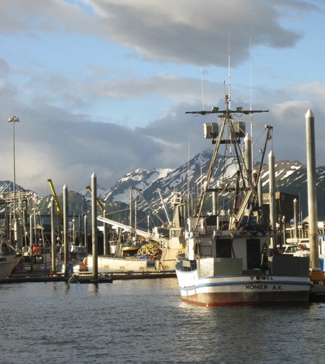 The scheduled highlight of the trip was halibut fishing on a charter setting off from Homer