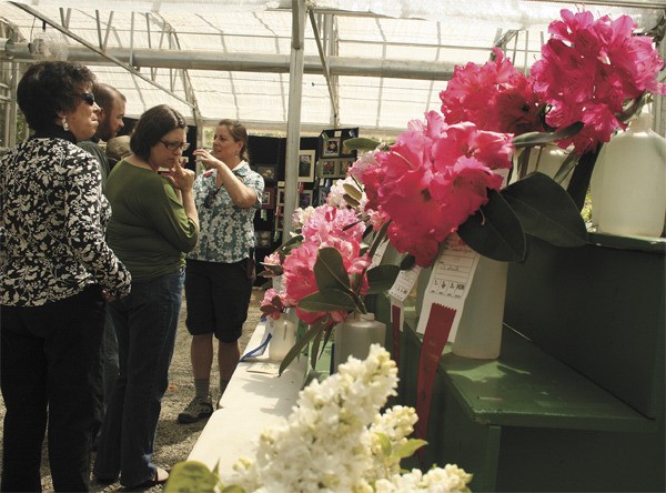 In this 2010 photo from the Buds and Blooms Festival