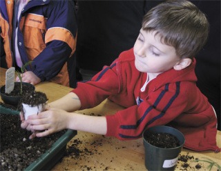 Jordan Armstrong of the Brigadoon Elementary preschool program digs in the dirt March 3 at Decatur High School's horticulture center.