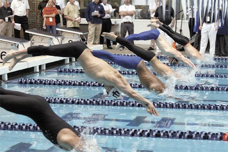 Swimmers start a preliminary heat during the March 2008 NCAA Men's Swimming and Diving Championships at the Weyerhaeuser King County Aquatic Center in Federal Way.