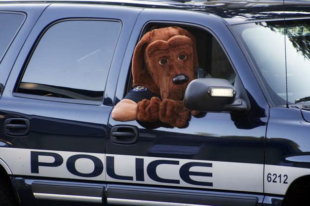 McGruff the Crime Dog rides in a Federal Way police vehicle