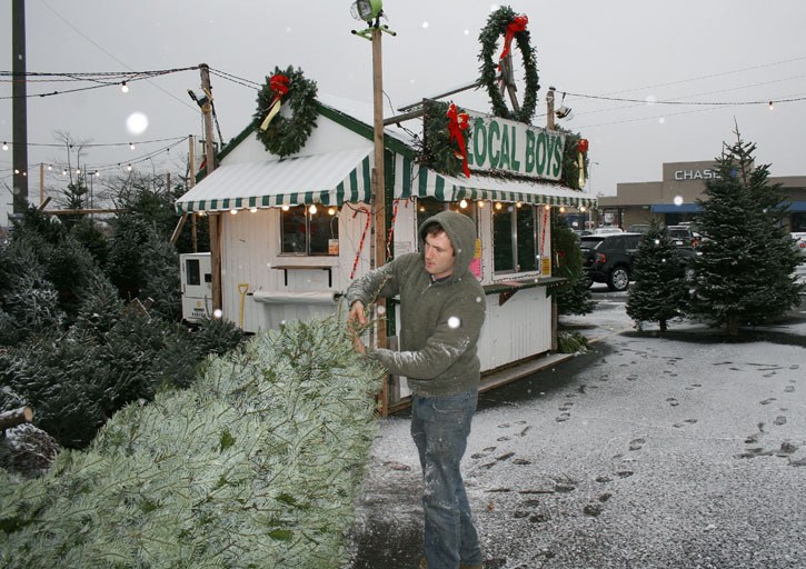 Trevor Jones shakes snow from a Christmas Tree Monday morning at his family's business