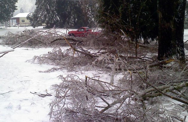 Federal Way is offering free pickup of storm debris Jan. 30 through Feb. 10.