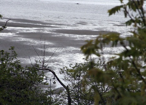 A diesel fuel spill at Dash Point State Park