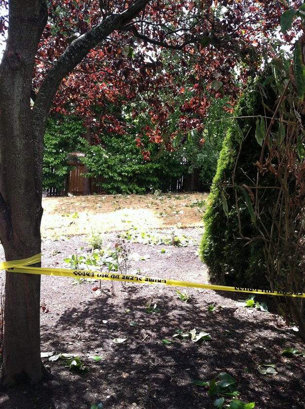 Federal Way police and South King firefighters responded to the scene where a 10-year-old girl was killed on Saturday.