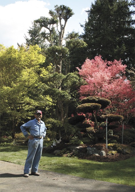 Rudy Rollolazo shows off sculpted trees in his meticulously landscaped yard last week in preparation for a charity garden tour sponsored by Federal Way United Methodist Church.