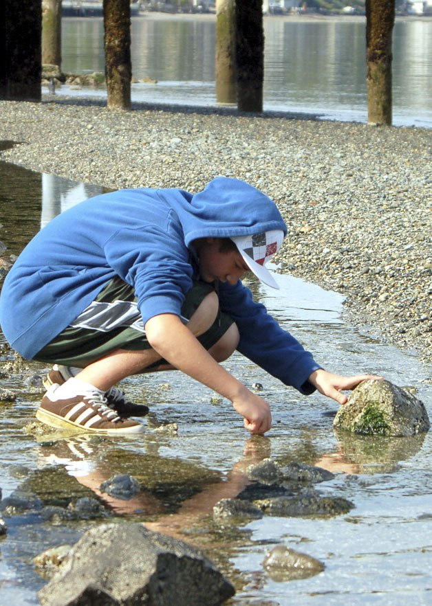 Woodmont students in grades 6-8 conducted science investigations at Highline Community College's Marine Science and Technology Center at Redondo last spring.