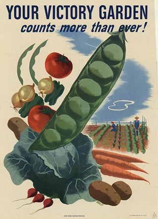Victory garden poster from the World War II era