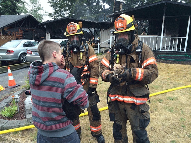 South King Fire and Rescue firefighters rescue a dog that was trapped inside a burning Federal Way home on Wednesday morning. Firefighters say the rescued dog is a hero