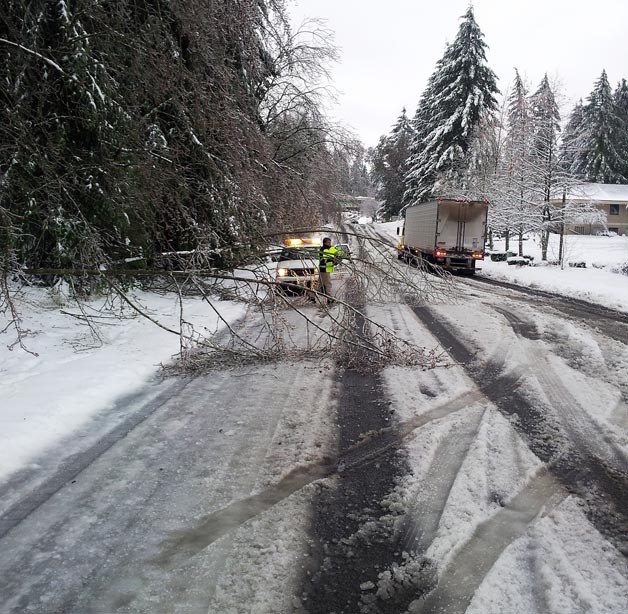 Ryan Thomas of Federal Way's Public Works department helps clear a fallen tree from S. 333rd Street on the morning of Jan. 19