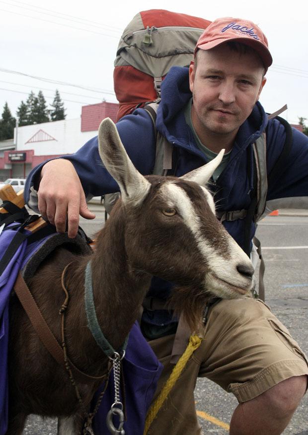 Matt Gregory is walking from Bellingham to Los Angeles with a goat named Vickie. They passed through Federal Way on Sept. 24