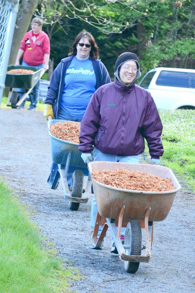 A convoy of wheelbarrows move a mountain of bark to the play structure at Steele Lake Park on Saturday.