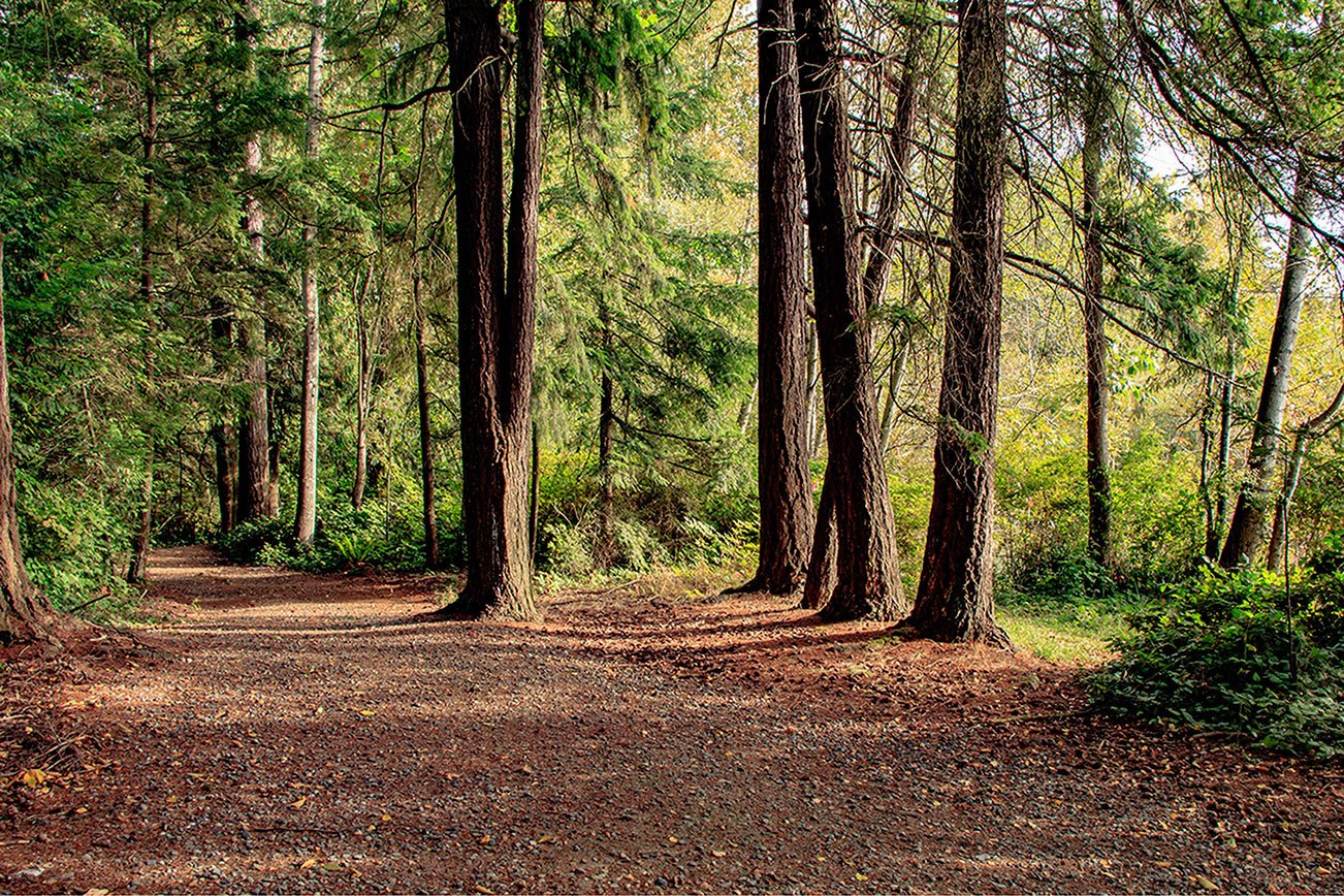 Government commits to preserving 40plus acres of former Weyerhaeuser
