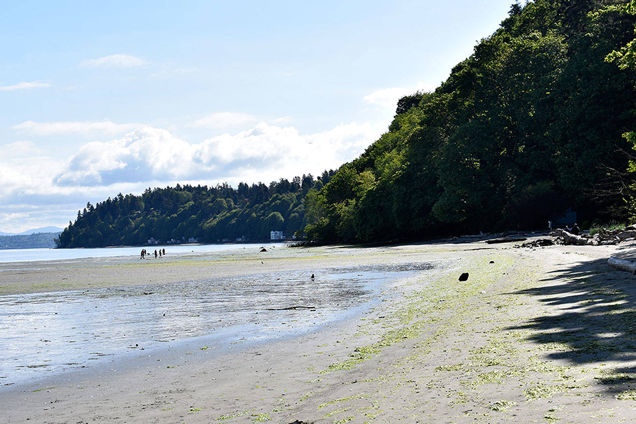 Dash Point State Park is perfect mix of forest and beach | Explore Federal Way