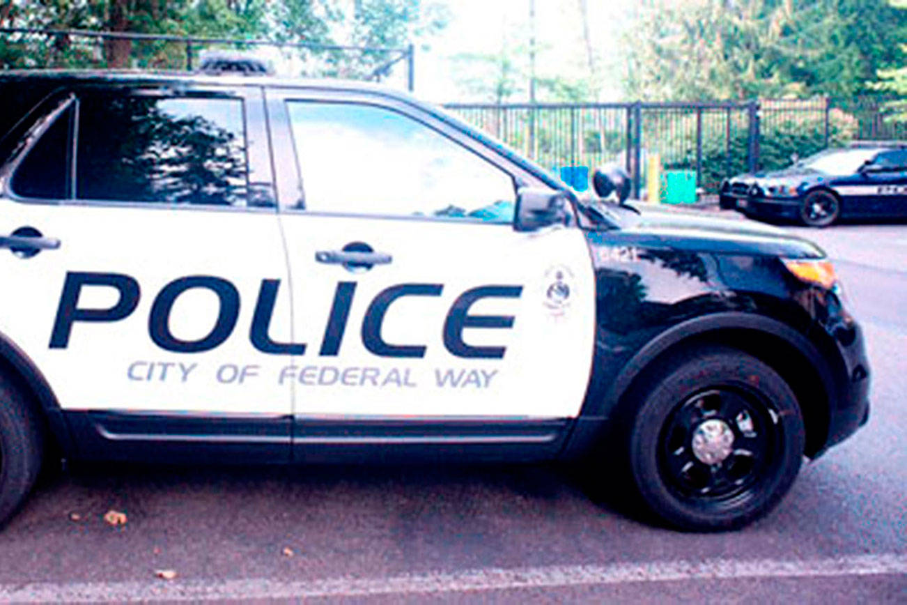 Witness reports man behaving strangely toward school children | Federal Way Police Blotter