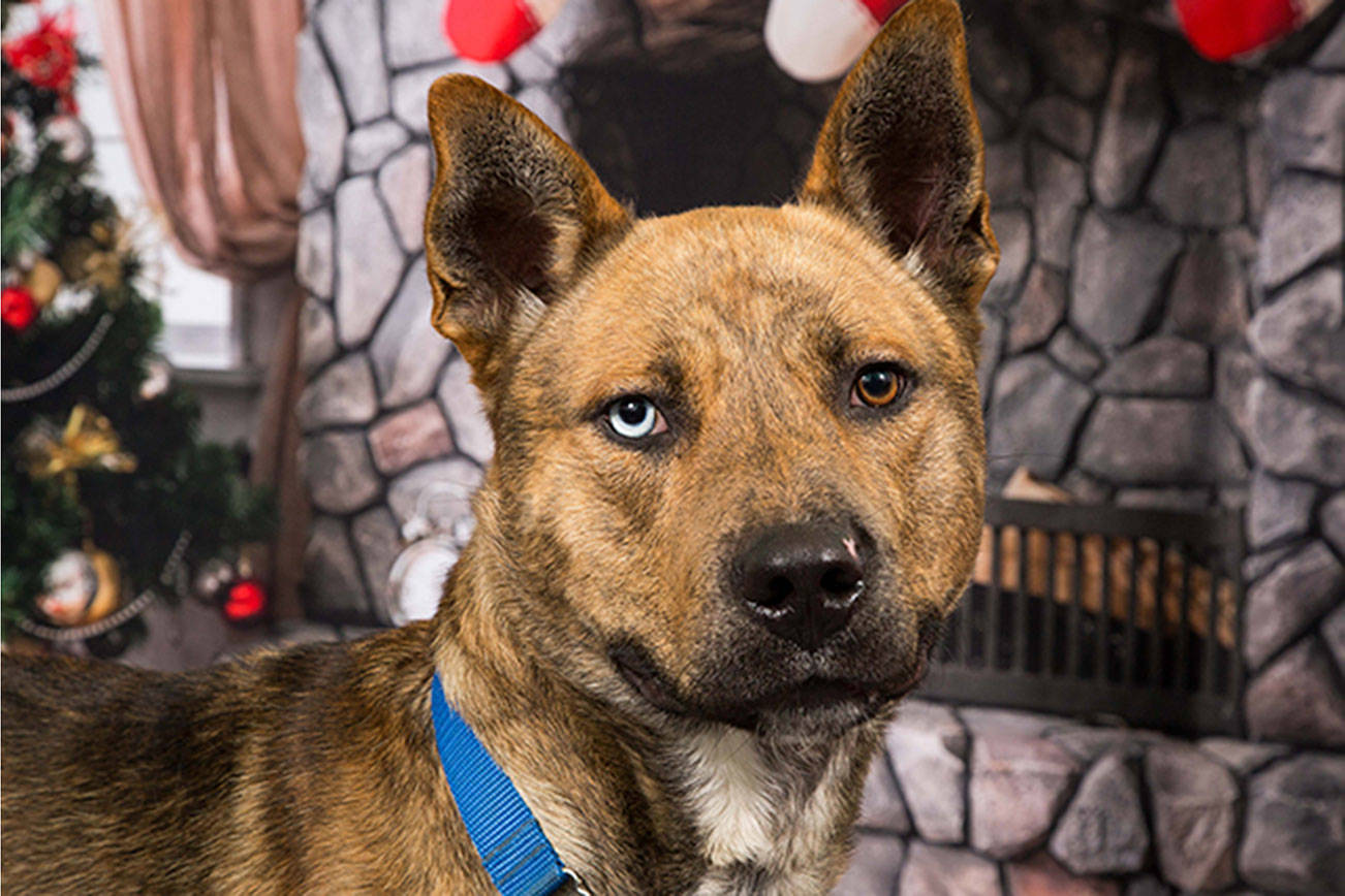 My name is Mark, and I need a home