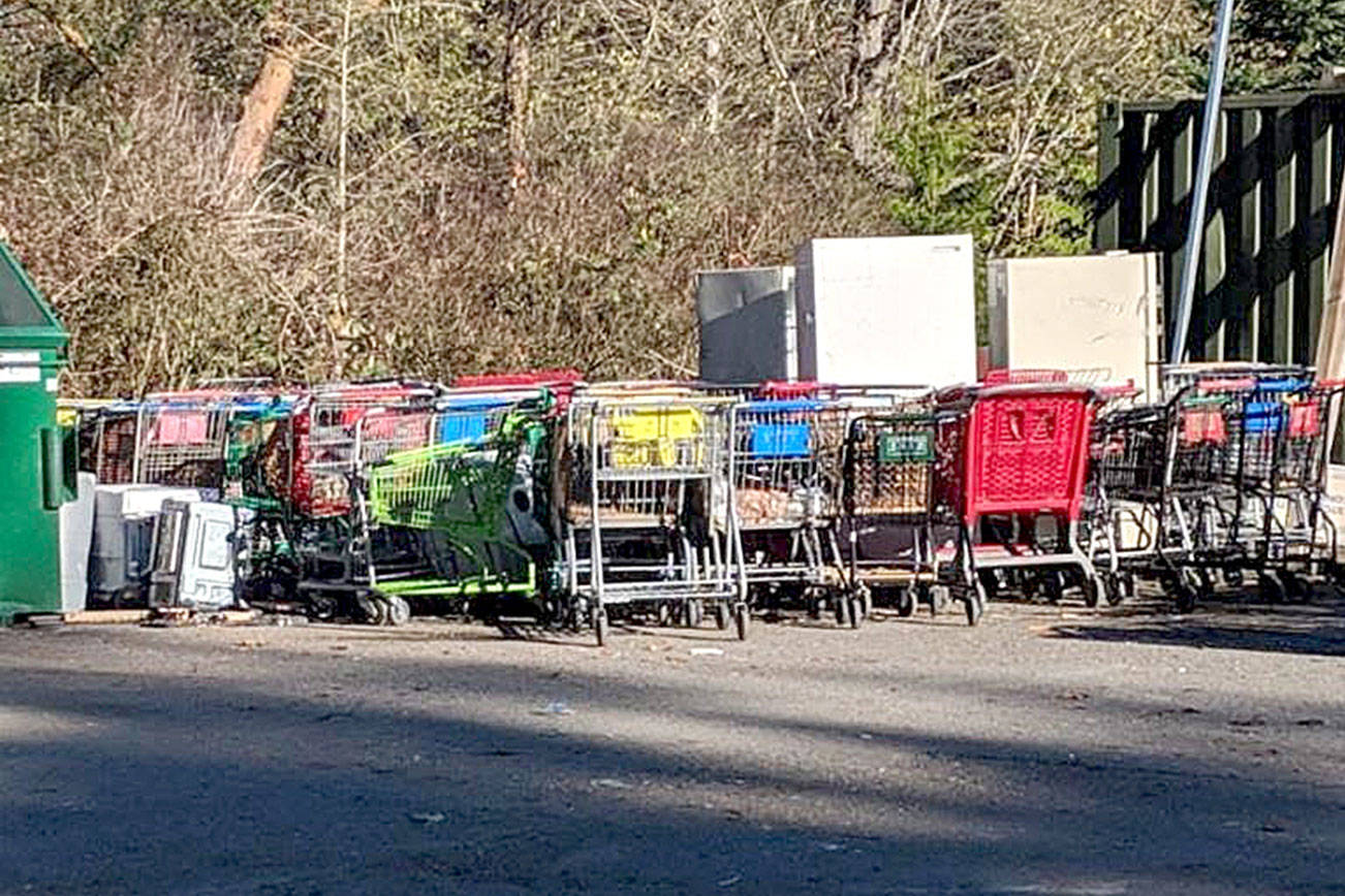 Federal Way to regulate shopping carts, curb blight with new ordinance
