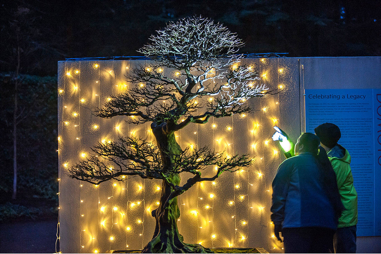 Don’t miss: A Bonsai Solstice, Christmas choral program and more