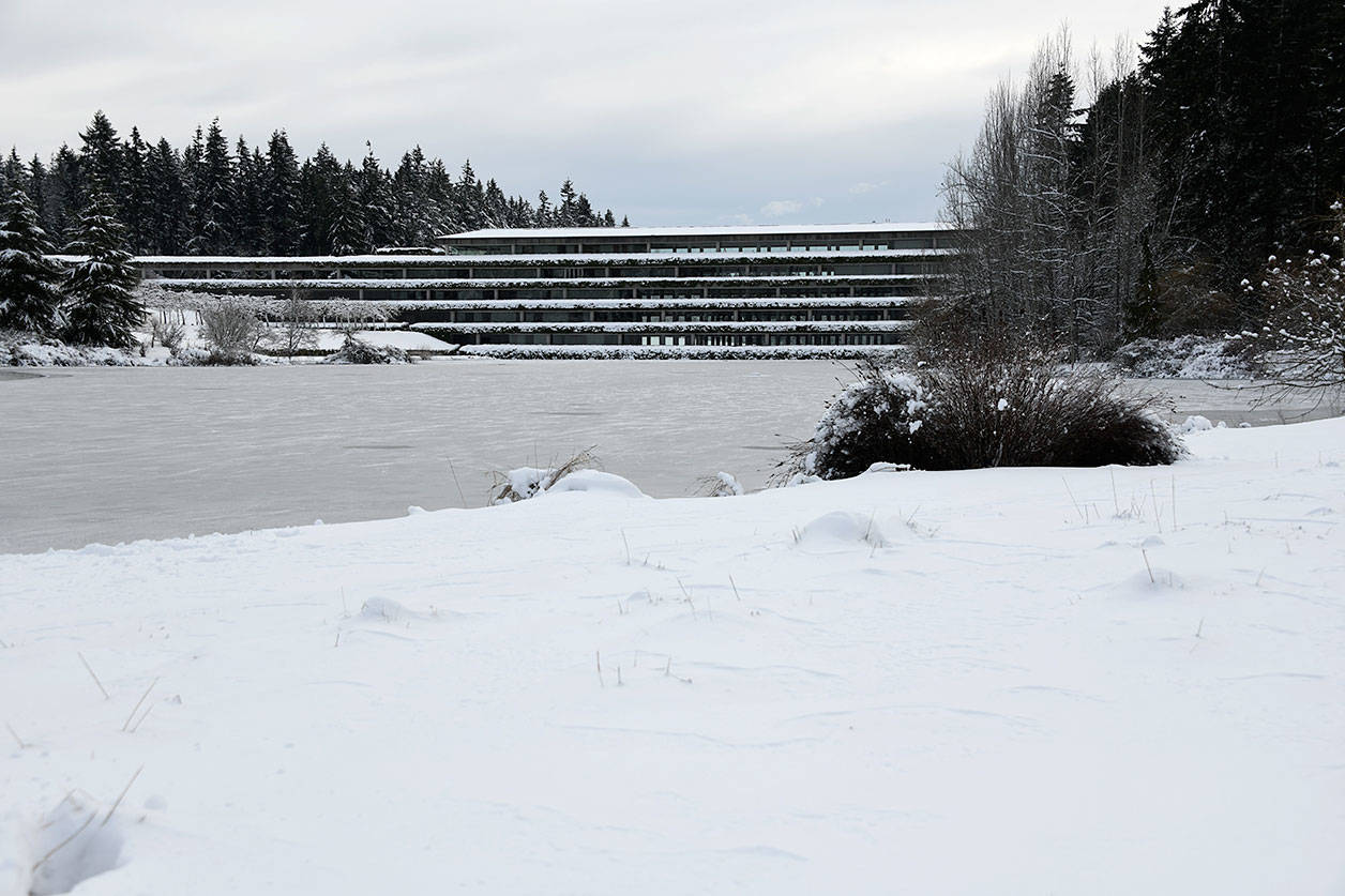 Weyerhaeuser campus draped in snow. Photo by Shelley Pauls