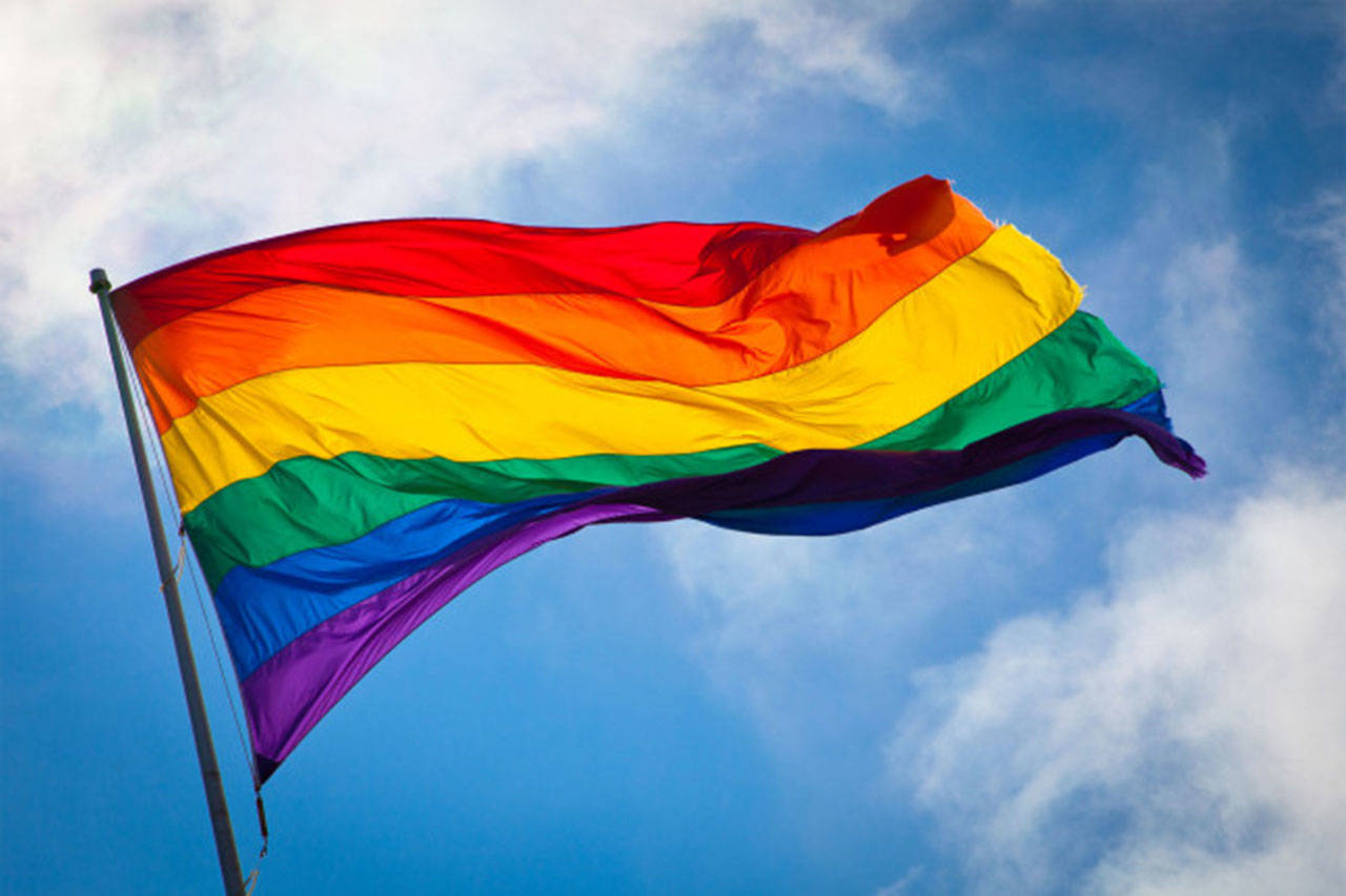 JOINT BASE LANGLEY-EUSTIS,Va. - Pride Flag (Courtesy Photo)