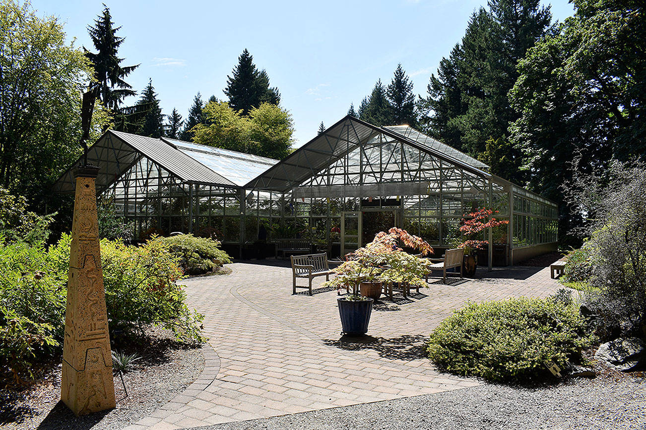 Rhododendron Garden plans to remain rooted in Federal Way