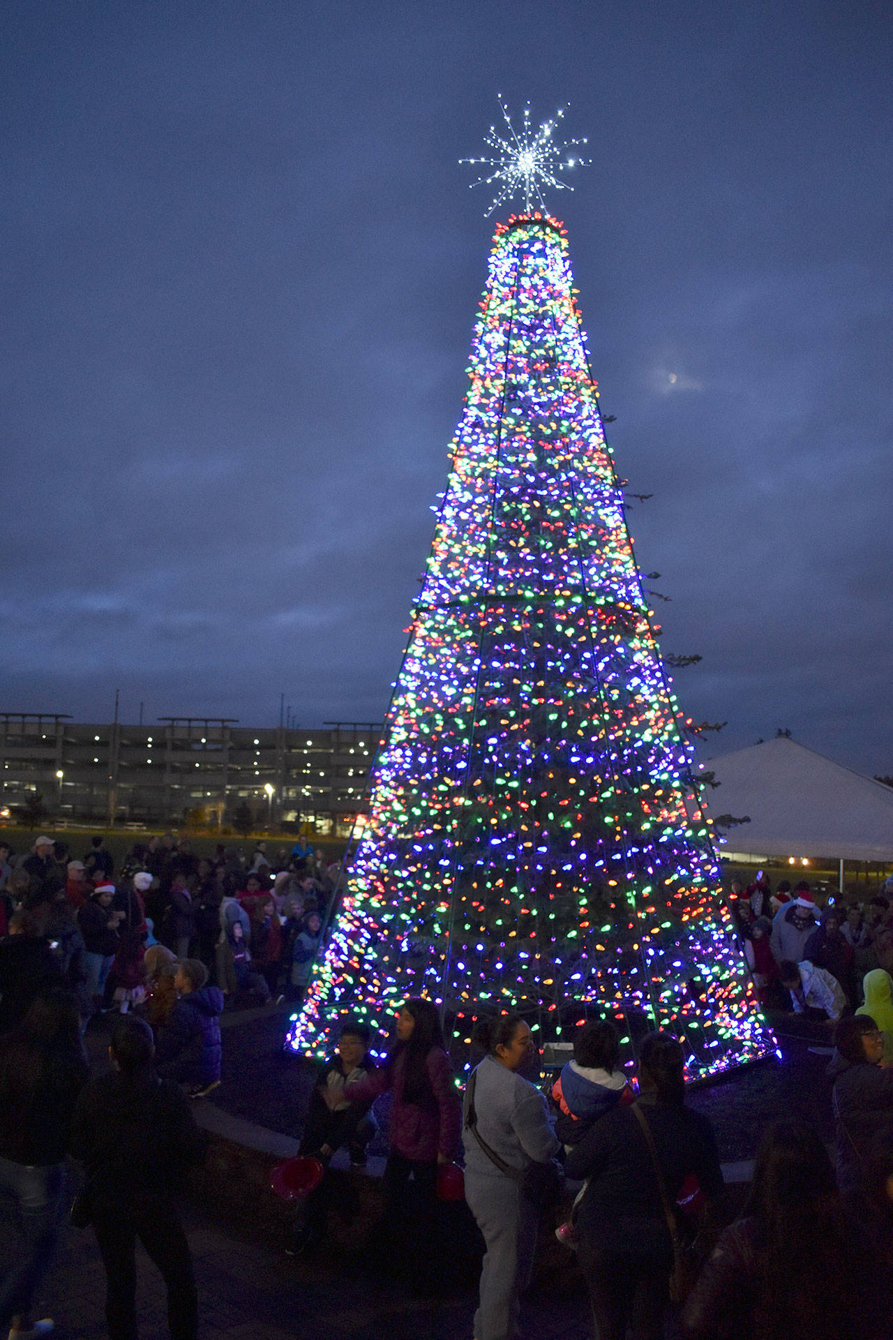 A large crowd gathers at Town Square Park to see the Christmas tree lit up to celebrate this holiday season. Haley Donwerth/staff photo