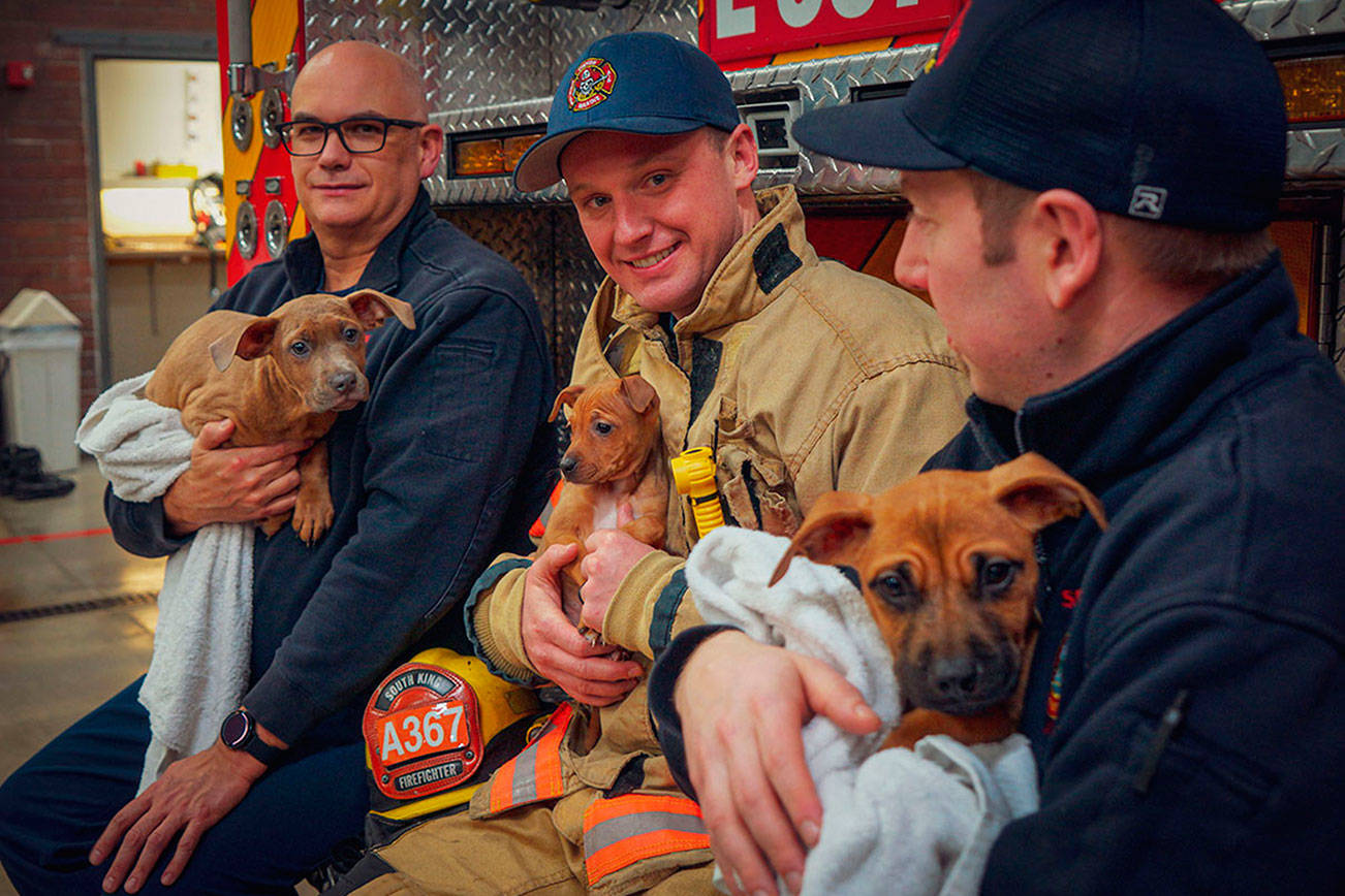 Puppies get a warm welcome from South King Fire and Rescue