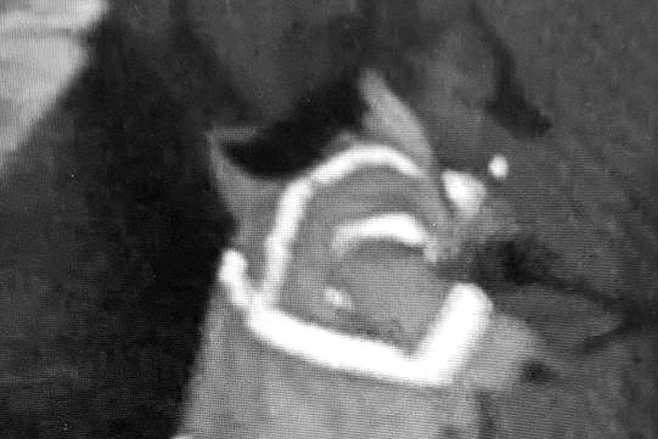 Police seek public’s help to identify suspect who stole athletic equipment from Sequoyah Middle School