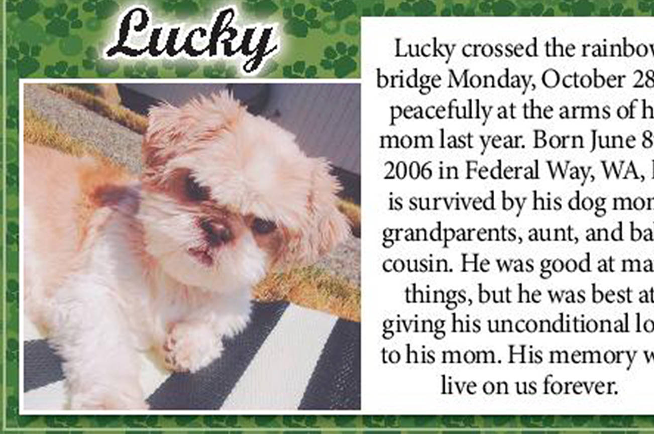 Lucky the dog | Obituary