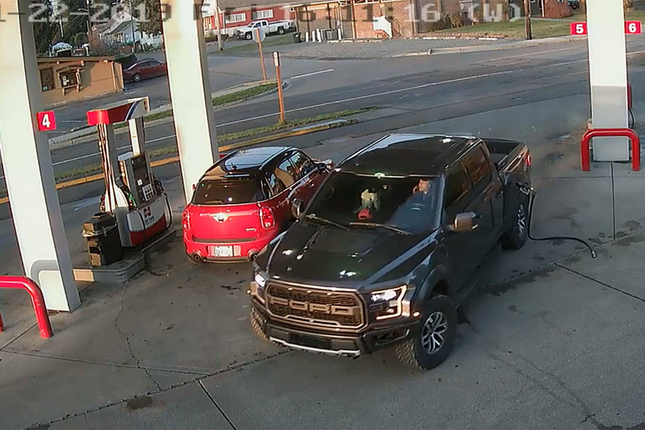 This security footage at the Cenex gas station in Black Diamond shows Anthony Chilcott on his phone before entering, and driving off with, Carl Sanders’ Ford Raptor and Monkey, his poodle, in the front seat. Image courtesy Cenex gas station