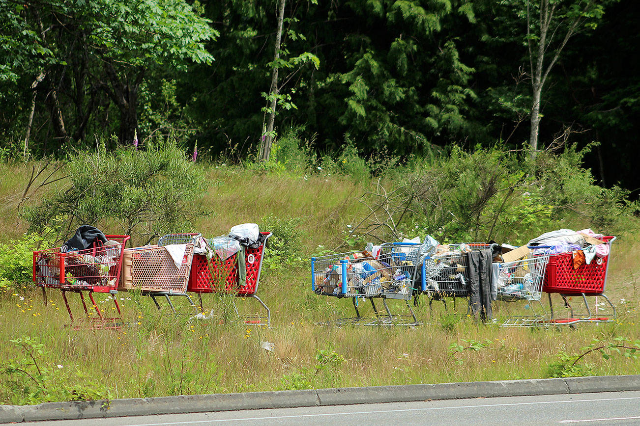 Shopping carts filled with garbage and other items as seen on S. 320th Street on June 16. Olivia Sullivan/the Mirror