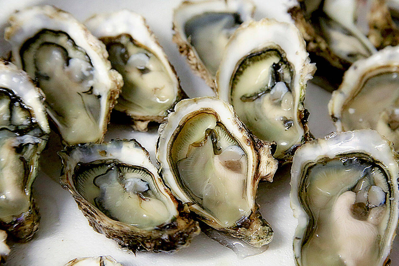 Public health agencies link Norovirus outbreak to oysters from British