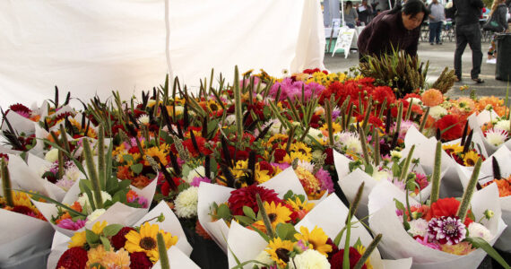 Flowers at the farmers market in 2019. Olivia Sullivan/the Mirror