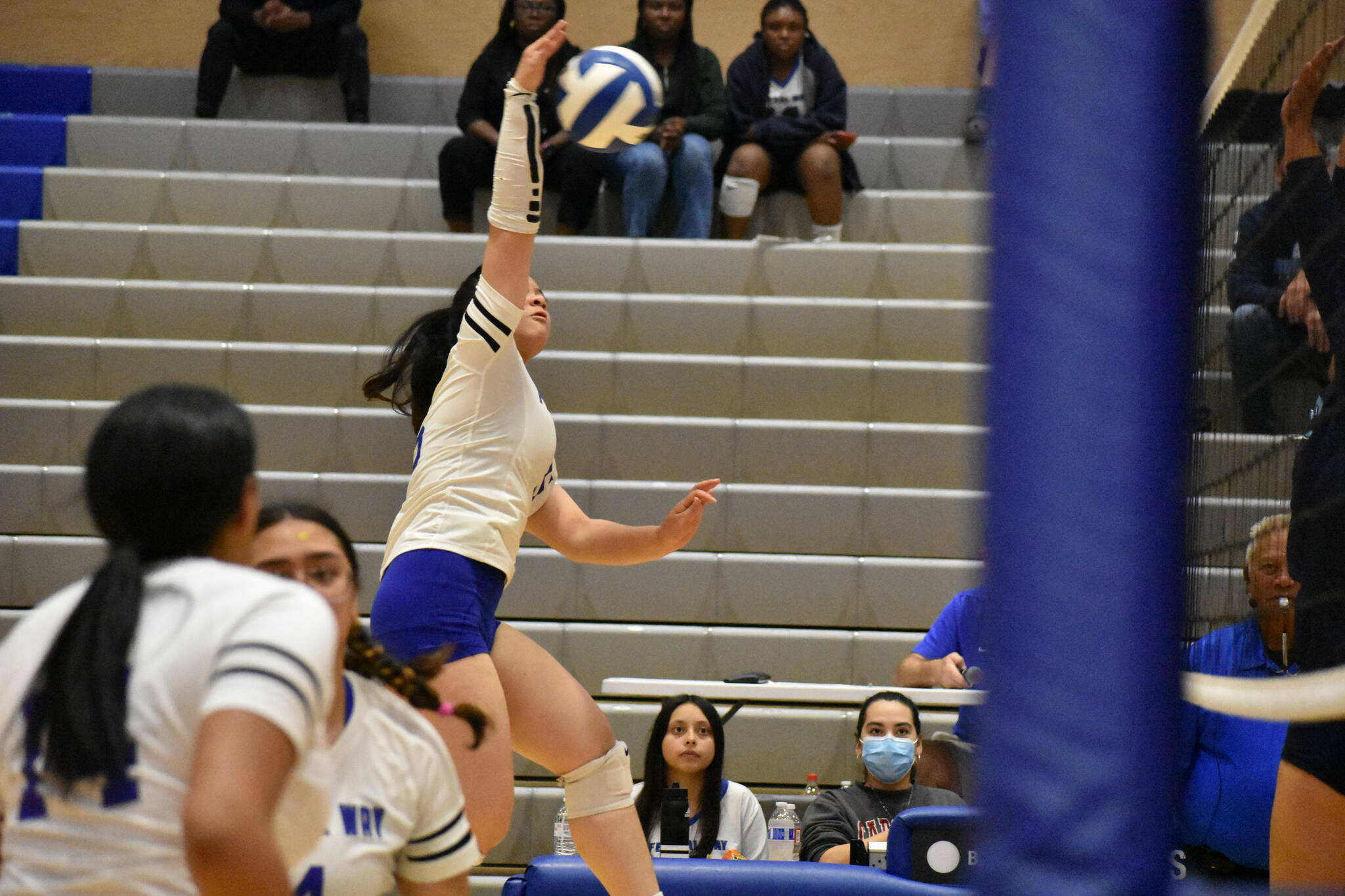 Senior Madison Mulipola goes up for the kill. Ben Ray / The Mirror