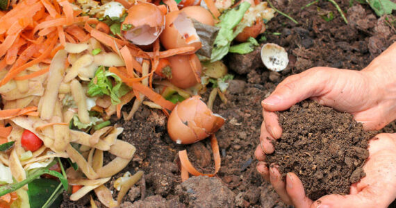 File photo
King County is considering ways to increase both the supply of and demand for compost to help divert organic material from the landfill.