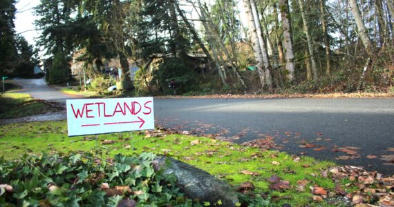 Loren Meiser’s hand lettered sign warns any passersby that there is a wetland present in the forested land near his home. Photo by Keelin Everly-Lang / The Mirror