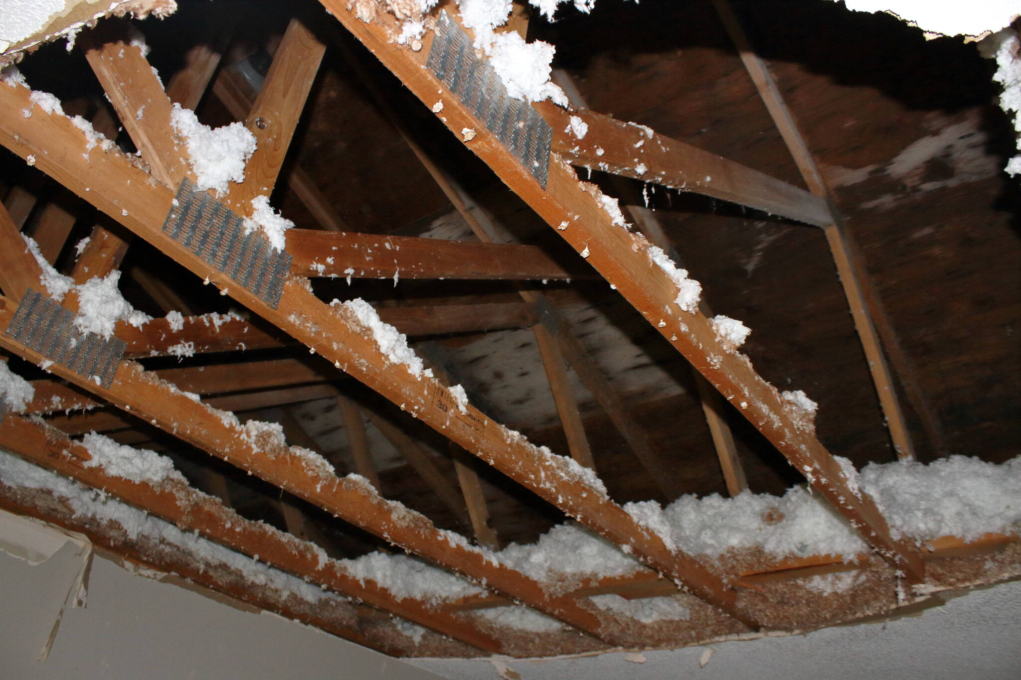 Exposed beams reveal the entirety of the roof after the ceiling fell in at an apartment in the Miro apartment complex. Photo by Keelin Everly-Lang / The Mirror