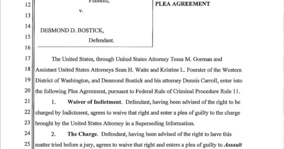 Desmond Bostick’s plea agreement. Courtesy of the United States District Court