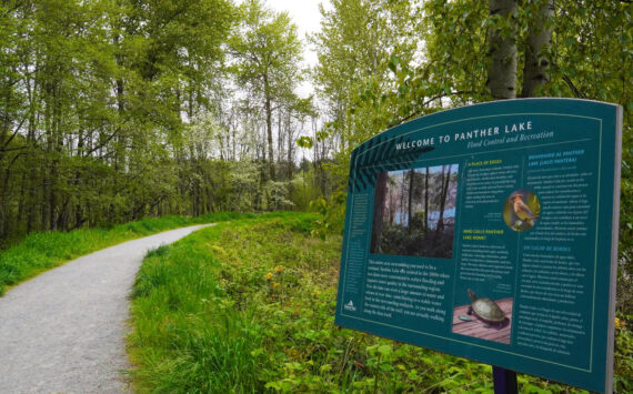 Panther Lake Trail at 550 SW Campus Drive in Federal Way. Photo by Joshua Solorzano/ The Mirror