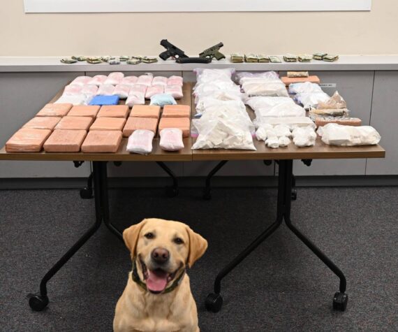 King County Sheriff’s Office K9 officer with seized drugs. Photo provided by KCSO