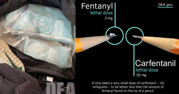 Courtesy photos 
A photo from the seizure and a photo showing carfentanil’s lethality.