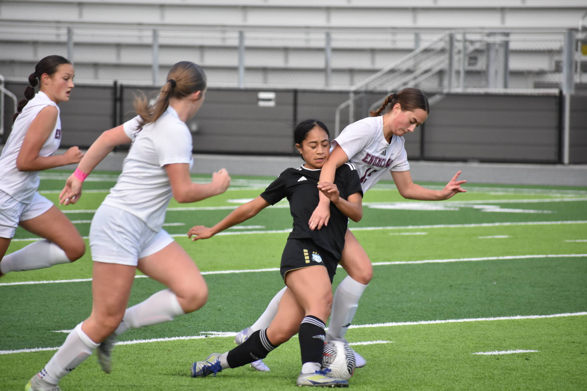 Kaihea Tuifua fights through contact against Enumclaw. Ben Ray / The Mirror