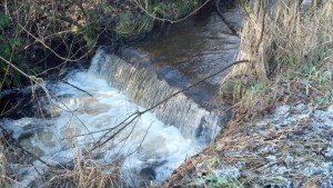 A mini-waterfall on West Fork Hylebos Creek. The creek near Federal Way runs too fast for fish. As part of Washington State Department of Transportation project to replace the culvert that carries the creek under SR-99