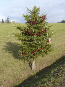 The last two or three years