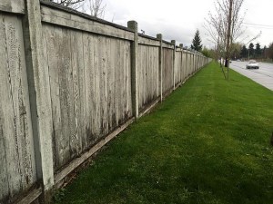 Volunteers will paint the 2