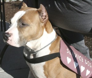 In this file photo from a 2008 report