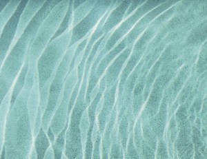 The Todd Beamer High School girls swim team recently beat Decatur High School's team by three points.